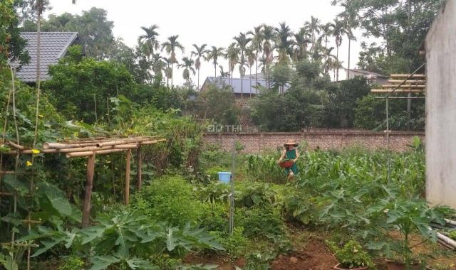 Bán lô đất tặng khu vườn sẵn hoa tươi quả ngọt cùng ngôi nhà nhỏ nhỏ tại Yên Bình, giá 5. X tỷ