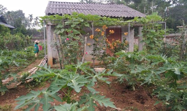 Bán lô đất tặng khu vườn sẵn hoa tươi quả ngọt cùng ngôi nhà nhỏ nhỏ tại Yên Bình, giá 5. X tỷ