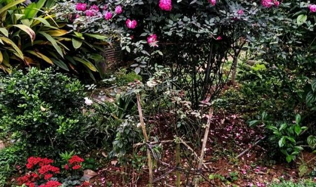 Bán lô đất tặng nhà kèm vườn sẵn hoa tươi quả ngọt tại Yên Bình, giá 5. x tỷ