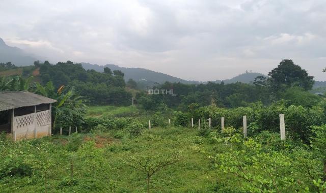 Nghỉ dưỡng tại Minh Quang, diện tích 750m2, thổ cư 300m, mặt rộng 15m, cạnh đường ĐT 87A, giá ĐT