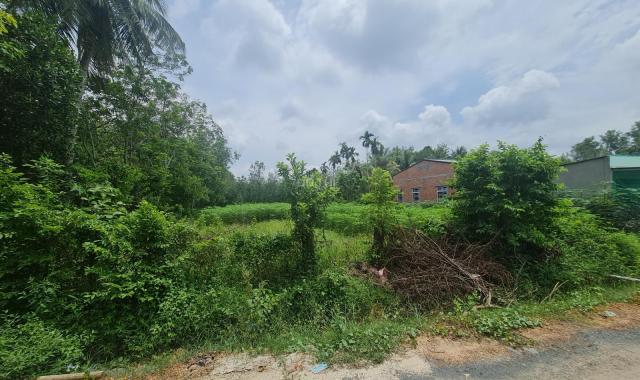 Chính chủ cần bán đất MT giá rẻ gần QL22 - Gò Dầu - Tây Ninh