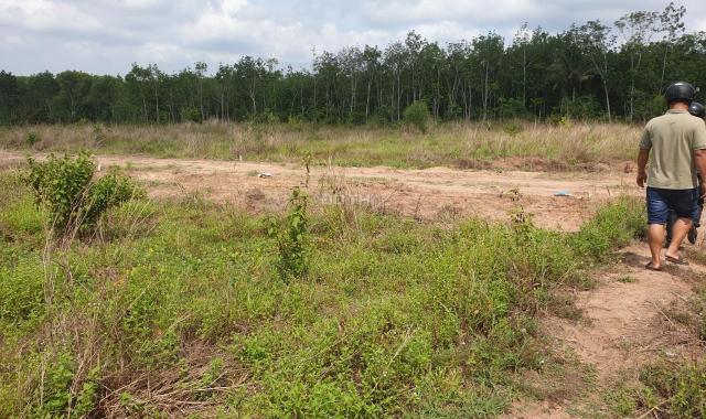 Tân Định 54 vào 200m, 20x50 = 1000m2, đất bằng phẳng tiền làm kho, xưởng, nhà vườn. Giá bán 1,75 tỷ