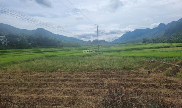 Bán đất thổ cư gần khu du lịch Thác Cửu Tú Sơn, Kim Bôi, Hòa Bình