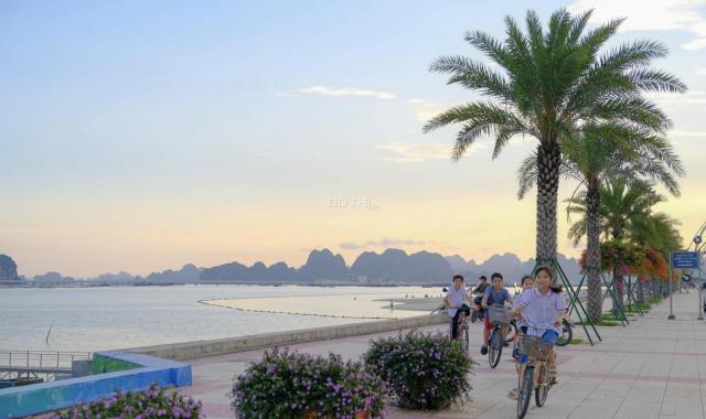 Ra hàng quỹ căn đẹp nhất tp Cẩm Phả, Green Dragon City cách bãi biển chỉ 50m, trực tiếp chủ đầu tư