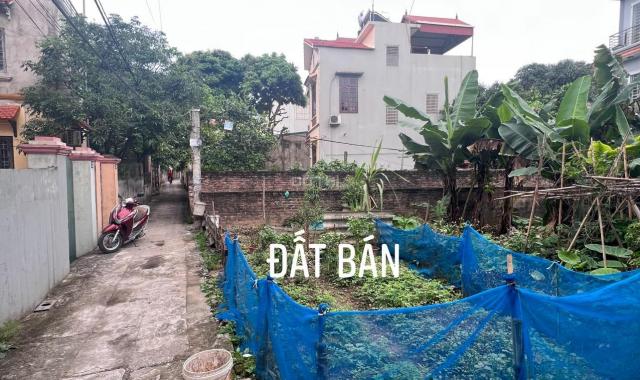 Bán đất Thọ Am Liên Ninh, Thanh Trì. DT 43m2 giá 1,4 tỷ