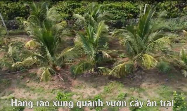 Cực hiếm chính chủ bán đất tại xã Diên Bình Huyện Đăk Tô Kon Tum