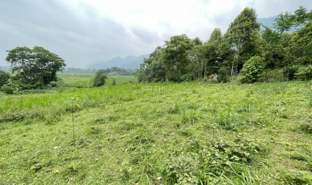 Bán 2000m2 đất ở + vườn tại Lạc Sơn, Hòa Bình giá chỉ 350k/m2. View cánh đồng đẹp không điểm chê