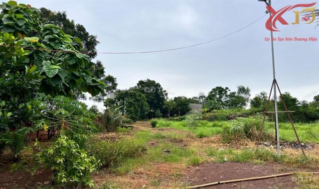 Bán miếng đất vườn đang làm trại heo xã Hưng Thịnh, Trảng Bom 13248m2 giá 19.5 tỷ