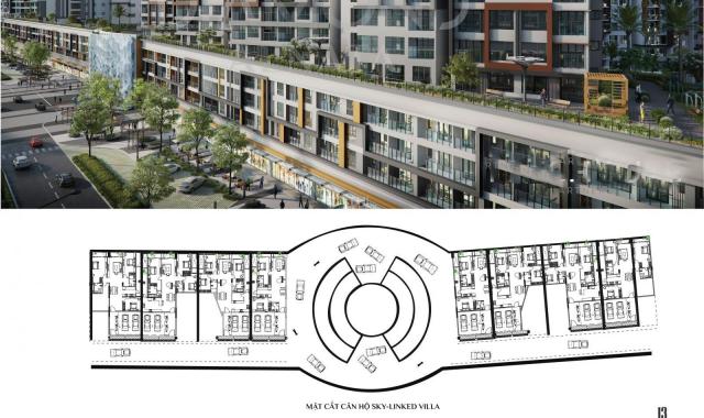 Sky Linked Villa xe hơi lên đậu tận nhà, 2PN, 163m2, TT chỉ 5%, NN 2024, tại Celadon City Tân Phú