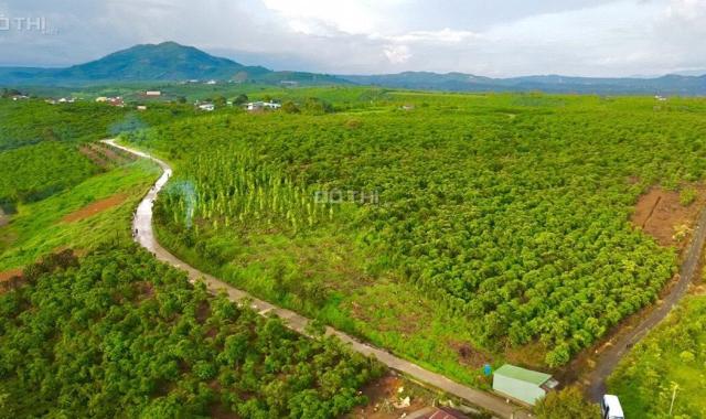 Bán đất tại đường Nguyễn Văn Cừ, Xã Đam Bri, Bảo Lộc, Lâm Đồng diện tích 165m2 giá 750 triệu