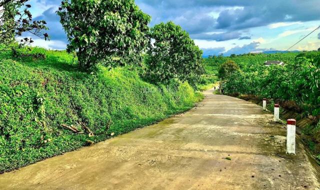 Bán đất tại đường Nguyễn Văn Cừ, Xã Đam Bri, Bảo Lộc, Lâm Đồng diện tích 165m2 giá 750 triệu