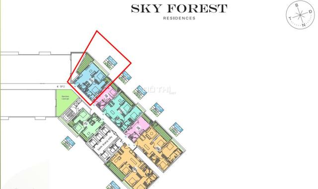 Chính chủ bán căn hộ dự án Sky Forest Ecopark