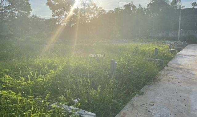Bán 20 lô đất siêu hot tại thị trấn Yên Bình, Yên Bái - Mua là thắng