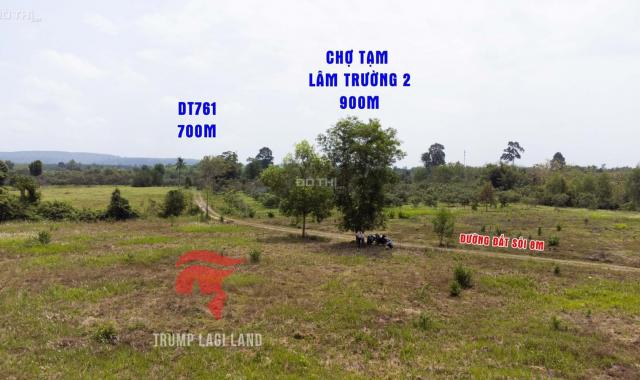 Đất bds Thanh Sơn Định Quán Đồng Nai 2 sào 100 đất thổ cư 1,3 tỷ giá tốt nhất huyện dân cư
