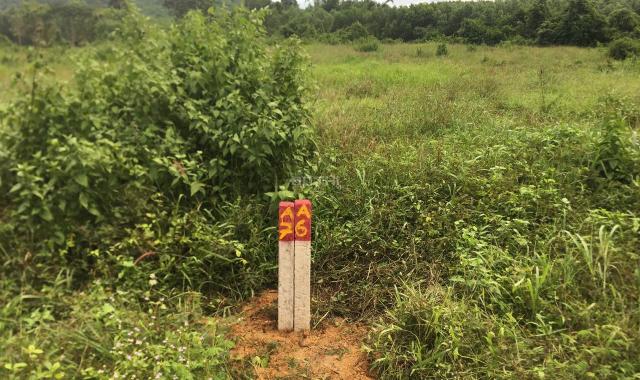 Đất bds Thanh Sơn Định Quán Đồng Nai 2 sào 100 đất thổ cư 1,3 tỷ giá tốt nhất huyện dân cư