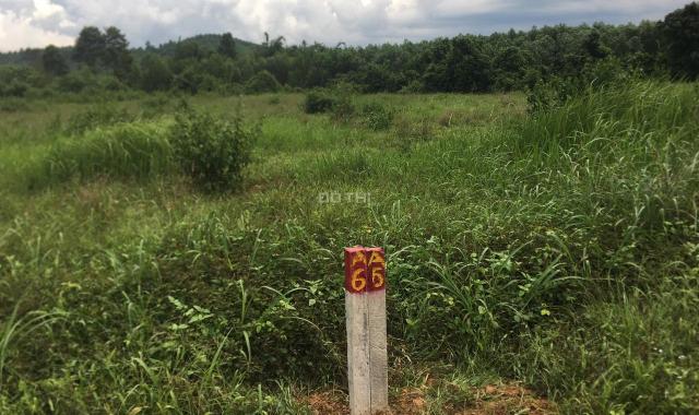 Đất bds Thanh Sơn Định Quán Đồng Nai 2 sào 100 đất thổ cư 1,3 tỷ giá tốt nhất huyện dân cư