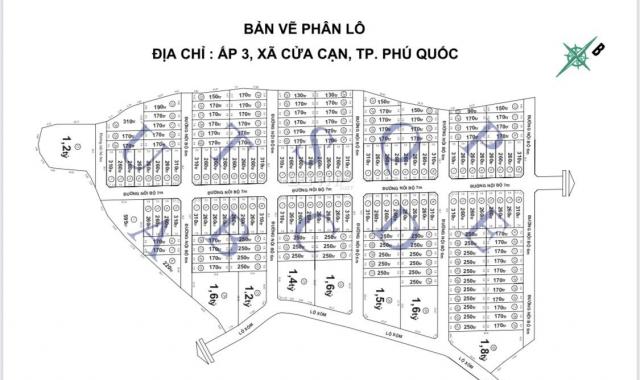 Chỉ với 170 đến 350 triệu đã sở hữu ngay 1 nền đất Phú Quốc sát Vinperl - Đầu tư sinh lời cao