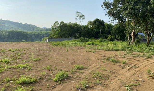 Cơ hội vàng cho NĐT thông thái sở hữu lô đất đẹp nhất bám trục đường nhựa liên huyện Lương Sơn