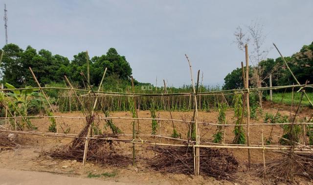 Lô đất vàng trong làng nghỉ dưỡng tại tiểu khu 14 Lương Sơn, Hoà Bình