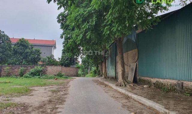 Bán đất tại đường 131, Xã Tiên Dược, Sóc Sơn, Hà Nội diện tích 100m2 giá 12 triệu/m2