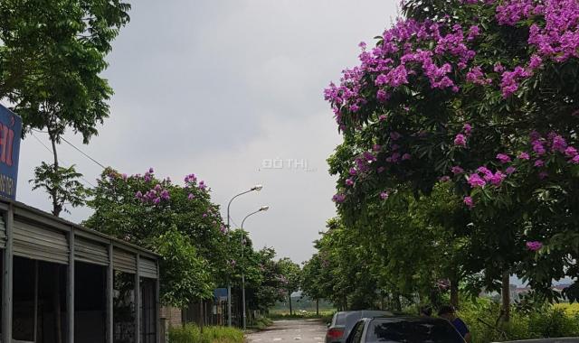 Đất đấu giá - phân lô vỉa hè -110m2 tại Bắc Hạ, Quang Tiến, Sóc Sơn. Giá đầu tư 2xtr/m2.