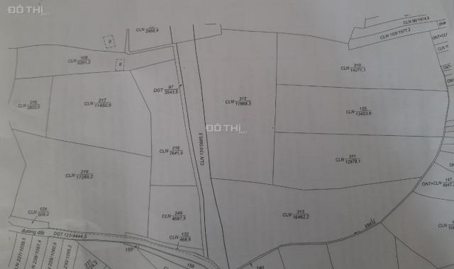 Cần bán lô đất lớn mặt tiền đường Tôn Thất Thuyết, huyện Bảo Lâm, Lâm Đồng