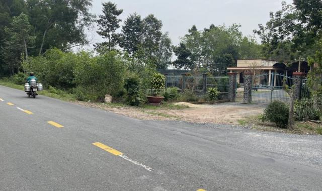 Bán đất lớn 10 héc ta mặt tiền ngang 300m đường An Nhơn Tây, Huyện Củ Chi, TPHCM