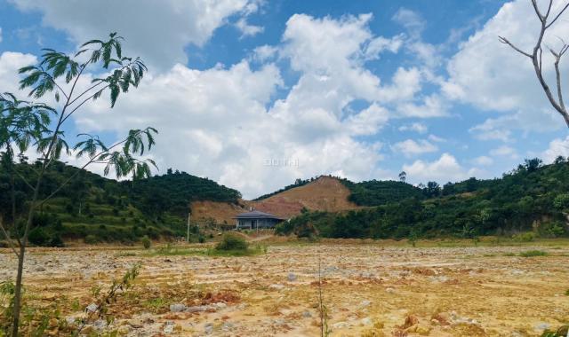 Bán đất tại Xã Đại Lào, Bảo Lộc, Lâm Đồng diện tích 11.000m2