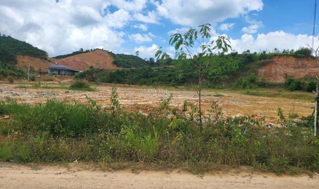 Bán đất tại Xã Đại Lào, Bảo Lộc, Lâm Đồng diện tích 11.000m2