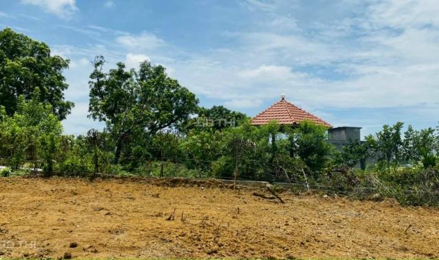 Nhanh tay sở hữu ngay 1555m2 đất làm nhà vườn nghỉ dưỡng giá rẻ nhất tại Hoà Sơn, Lương Sơn, HB
