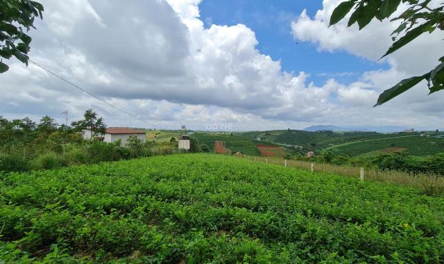 Bán đất view đồi nghỉ dưỡng 1709m2, đường Tôn Thất Thuyết, Đam Bri, Tp. Bảo Lộc. Chỉ 2tr/m2