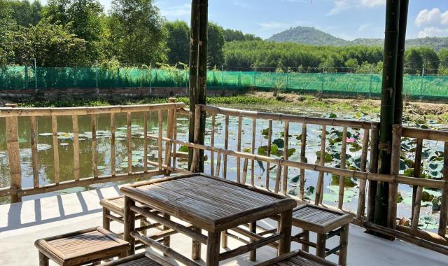 Trang trại vườn ao chuồng kết hợp Picnic quy mô tại Diên Khánh, cách biển chỉ 25km