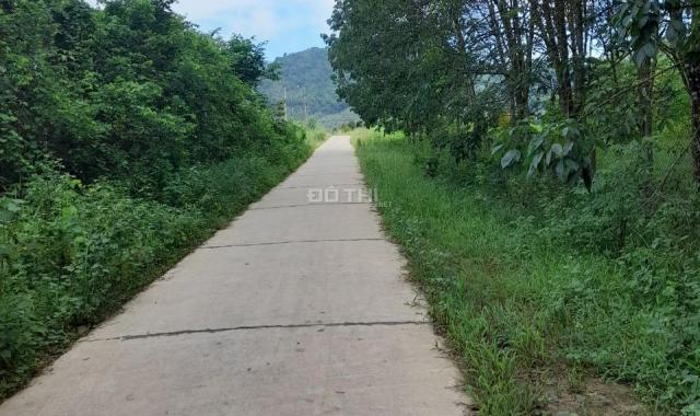 Bán 1.8 mẫu đất thổ cư Phú An - Huyện Tân Phú giá mềm