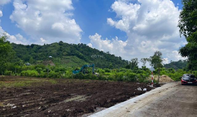 Bán lô đất vườn đã phủ hồng 100% gần ngã 3 Tân Phong - TP Long Khánh