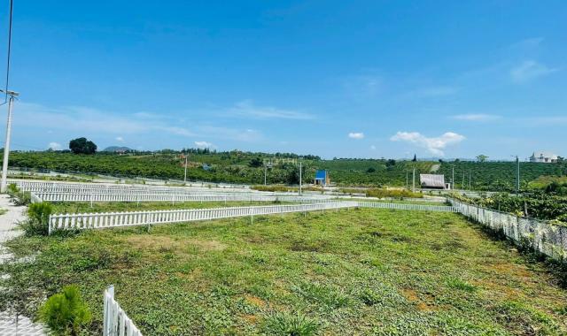 Bán đất thổ cư biệt thự giá tốt gần cao tốc DG - LK thành phố Bảo Lộc