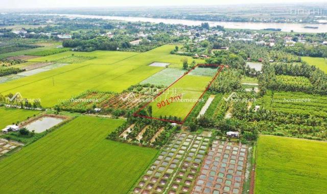 Chính chủ bán đất giá rẻ đường QL91 - Mỹ Phú - Châu Phú - An Giang