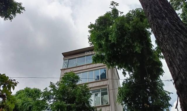 Mặt phố Phan Chu Trinh - Lò Đúc 60m2 x 7 tầng, MT 7m, lô góc 3 thoáng không có căn thứ 2