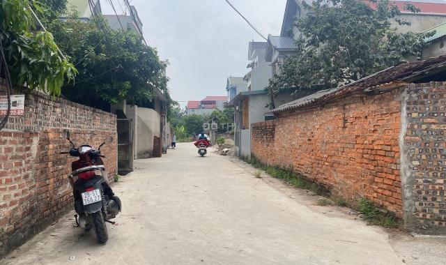 Bán đất tại đường 131, Xã Tiên Dược, Sóc Sơn, Hà Nội diện tích 72m2 giá 2 tỷ