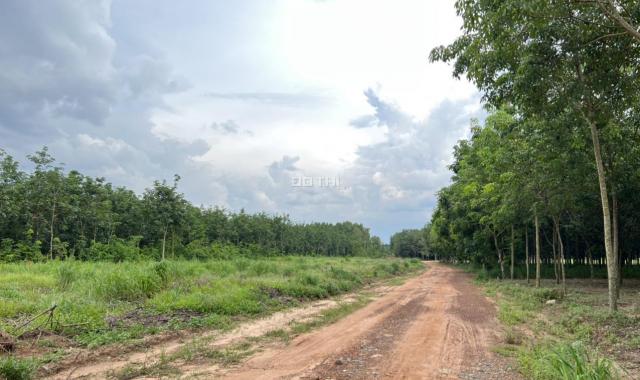 Bán đất tại Xã Lai Hưng, Bàu Bàng, Bình Dương diện tích 133m2 giá 900 triệu