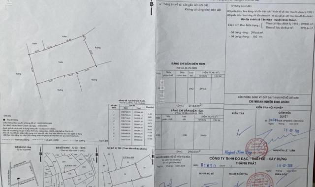 Đất trồng cây lâu năm xã Tân Kiên, huyện Bình Chánh, TP Hồ Chí Minh