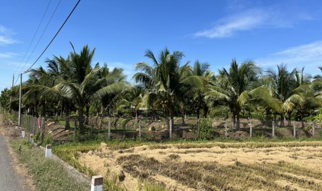 Bán nhà vườn sinh thái yên tĩnh - xanh mát