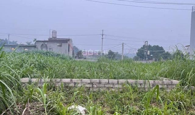 Hơn 2 tỷ sở hữu ngay lô đất mặt đường TL416, nằm gần chợ và TT hành chính xã Kim Sơn Sơn Tây