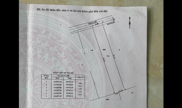 Chính chủ bán đất full thổ cư MT đường Số 175, Bình Mỹ, Củ Chi, TP. HCM