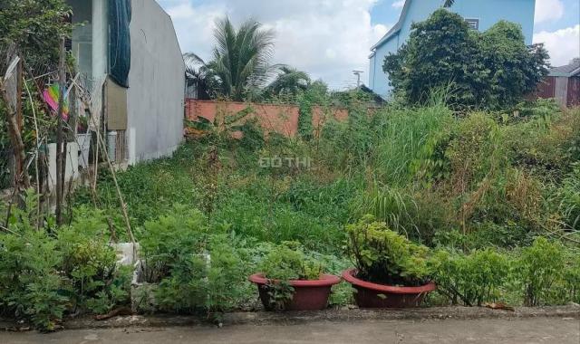 Đất nhánh Huỳnh Thị Hiếu phường Tân An TP Thủ Dầu Một Bình Dương