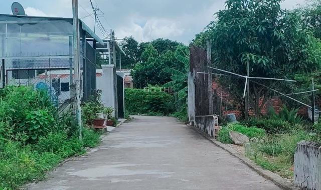 Đất nhánh Huỳnh Thị Hiếu phường Tân An TP Thủ Dầu Một Bình Dương