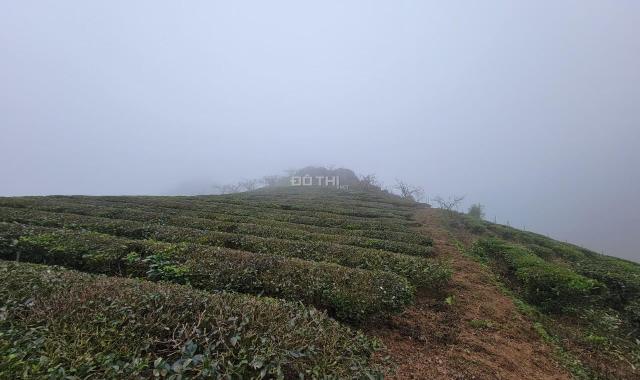 Đất nền Mộc Châu giá rẻ đầu tư biên độ lợi nhuận tăng