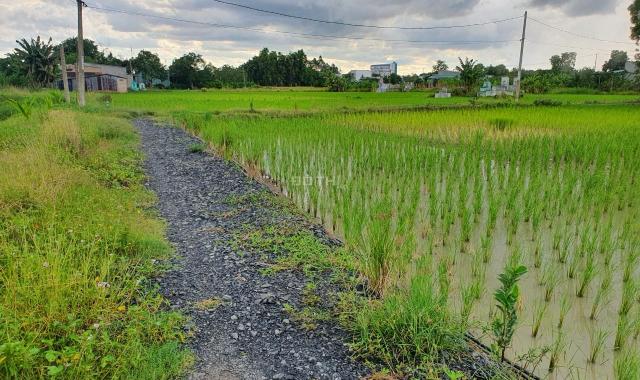 Chính chủ bán lô đất Xã Qui Đức, Huyện Bình Chánh, TP Hồ Chí Minh