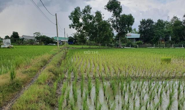 Chính chủ bán lô đất Xã Qui Đức, Huyện Bình Chánh, TP Hồ Chí Minh