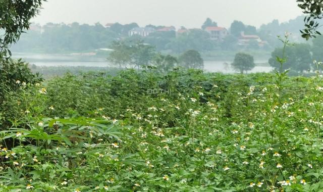 Bán quả đồi 1,6 ha view hồ sen, sát khu du lịch Đầm Long. Tại Sơn Đà, Ba Vì, Hà Nội