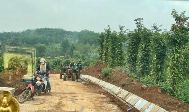 Siêu hiếm 2,7 ha mặt tiền vip 380m2 3,2 tỷ đường bê tông ở Đăk Mil, Đăk Nông